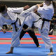 Illustration for article titled A Primer to Martial Arts Part I (Striking Arts)
